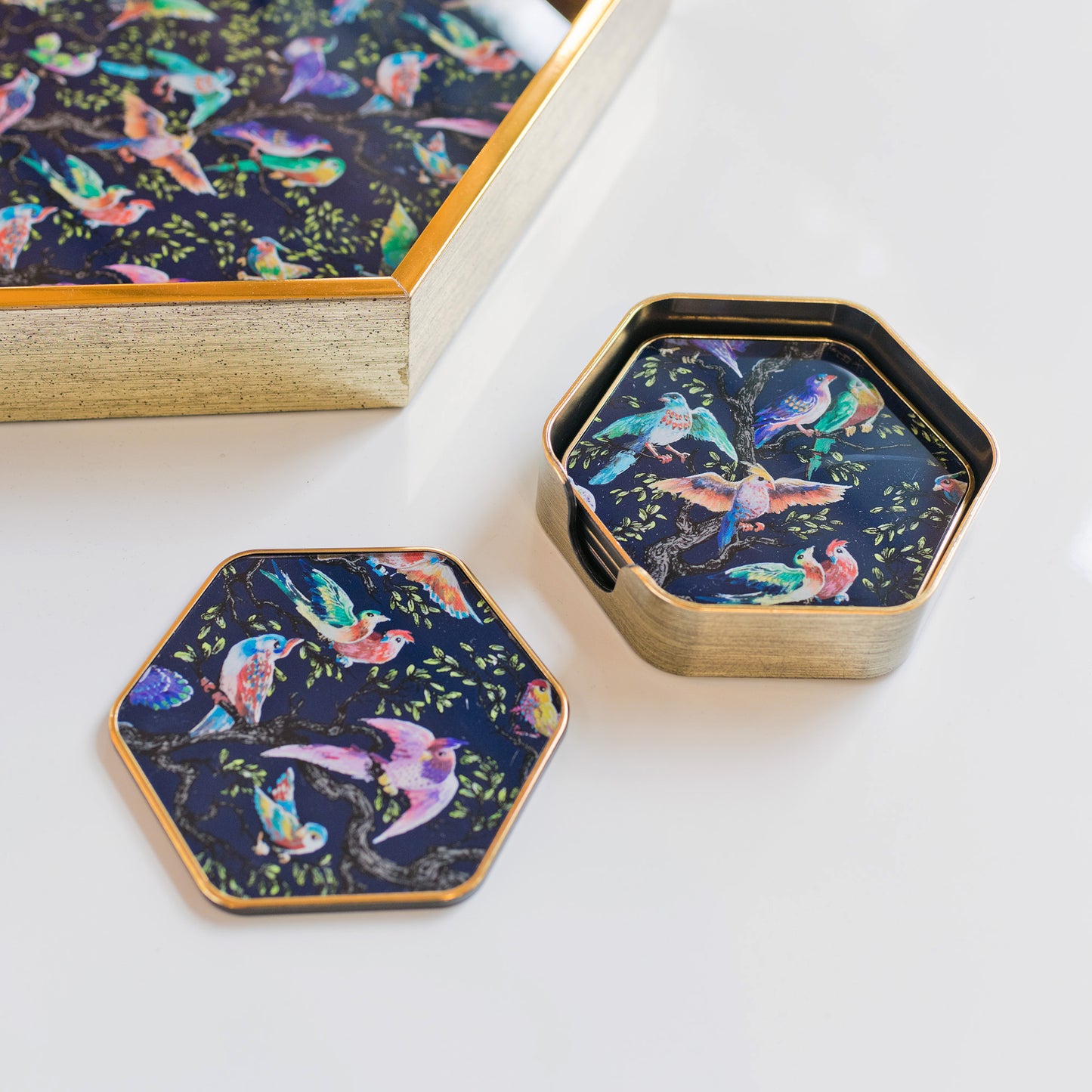 Birdity Absurdity Coasters
