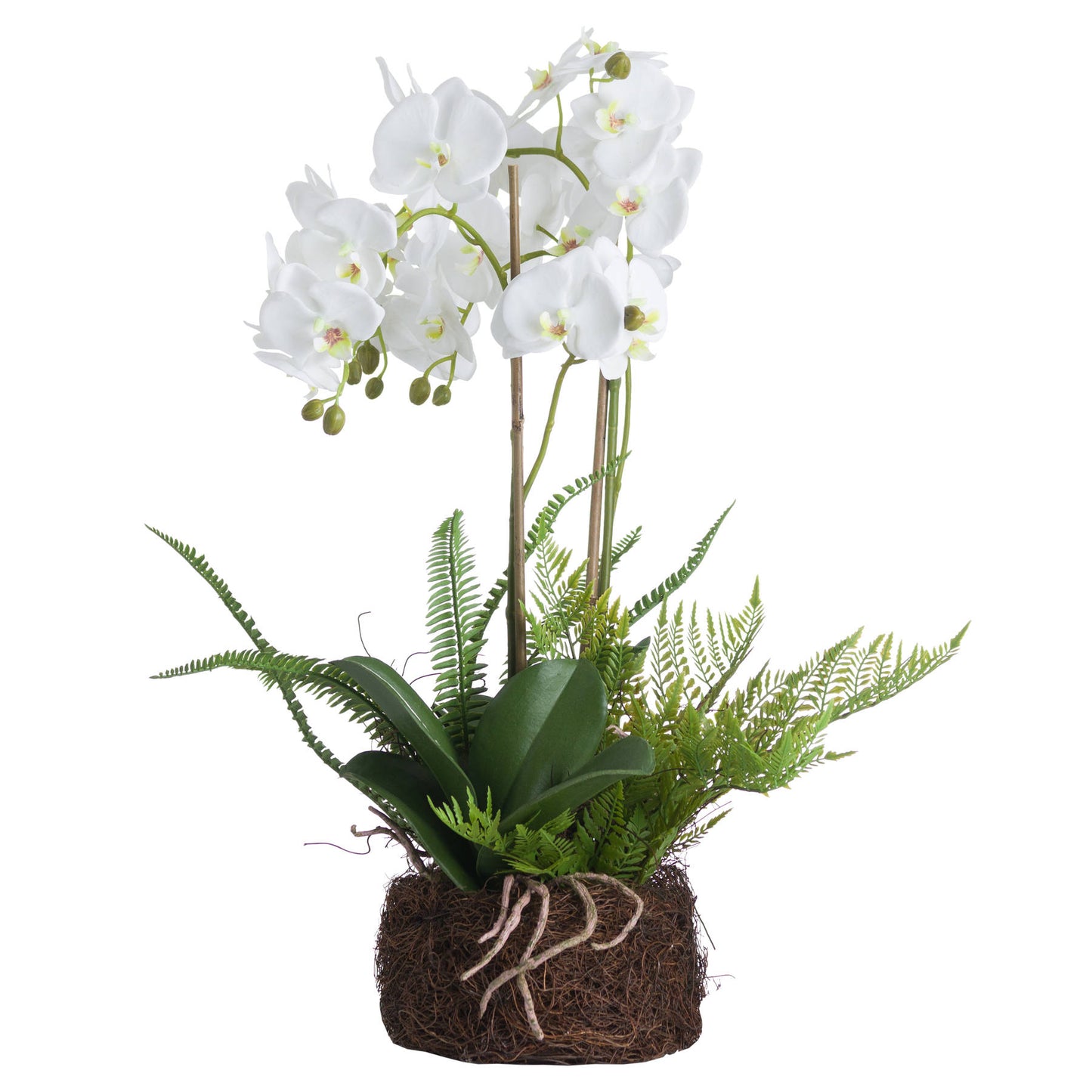 Large White Orchid Faux and Fern