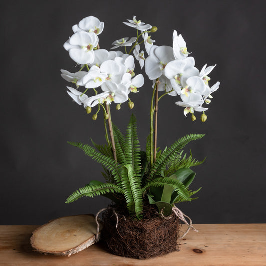 Large White Orchid Faux and Fern