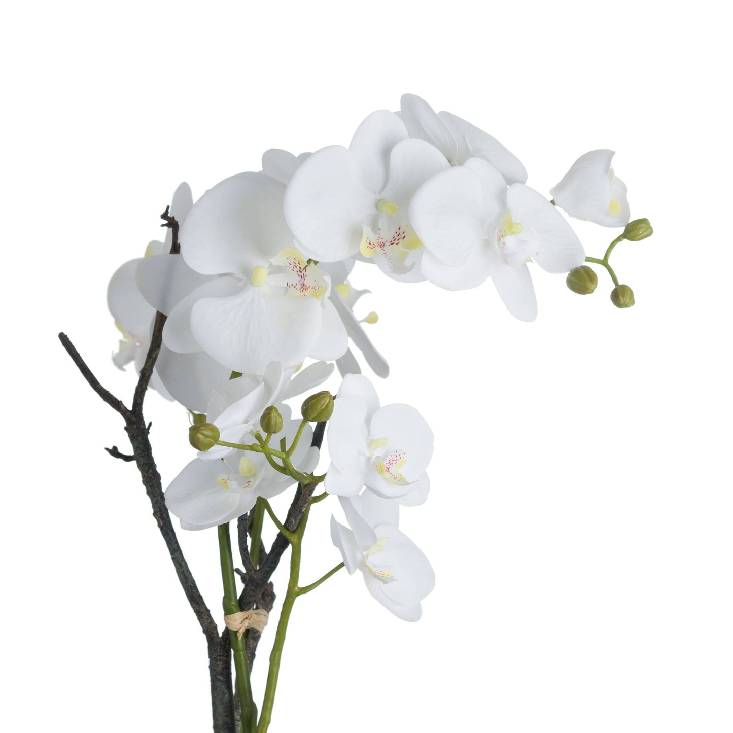 White Orchid Faux in Stone Pot 70cm