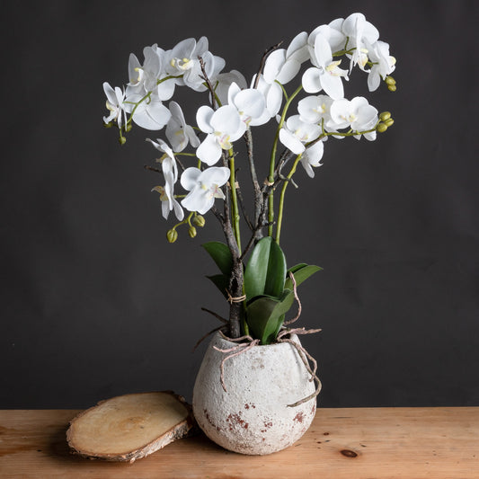 White Orchid Faux in Stone Pot 70cm