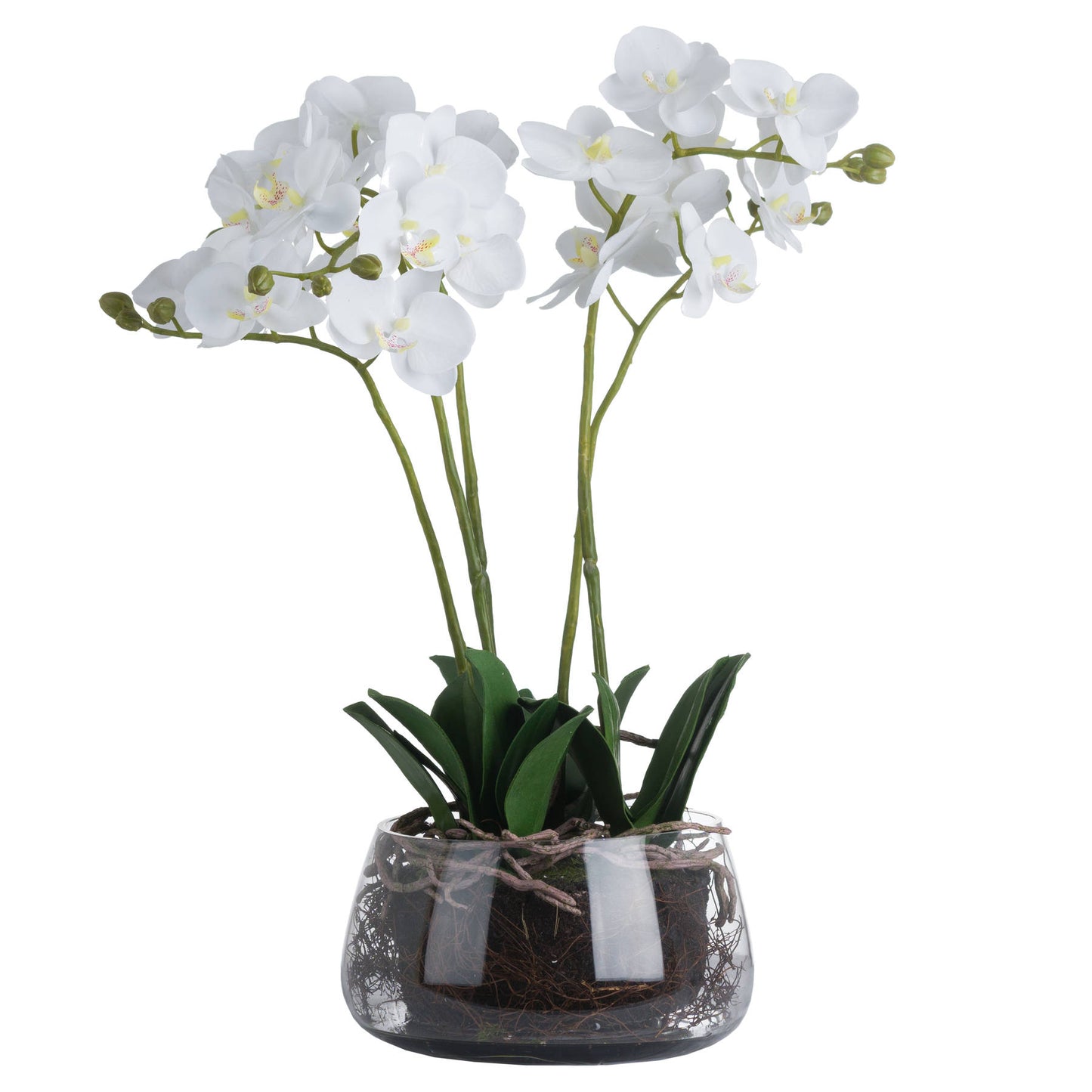 White Orchid Faux in Glass Pot