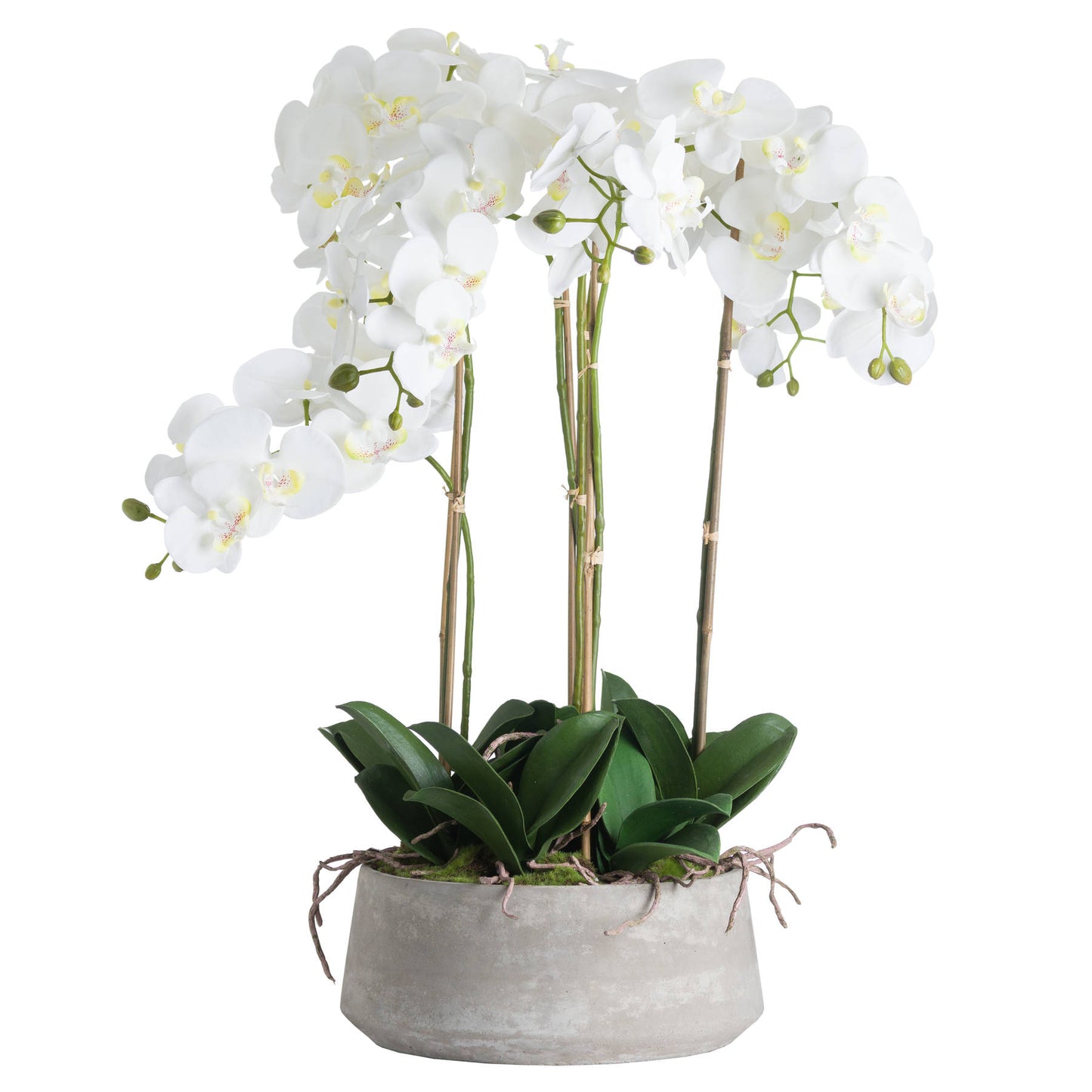 White Orchid Faux in Stone Pot 90cm