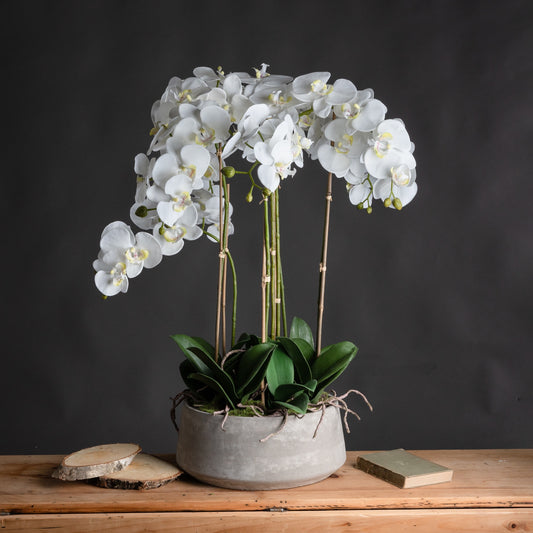 White Orchid Faux in Stone Pot 90cm
