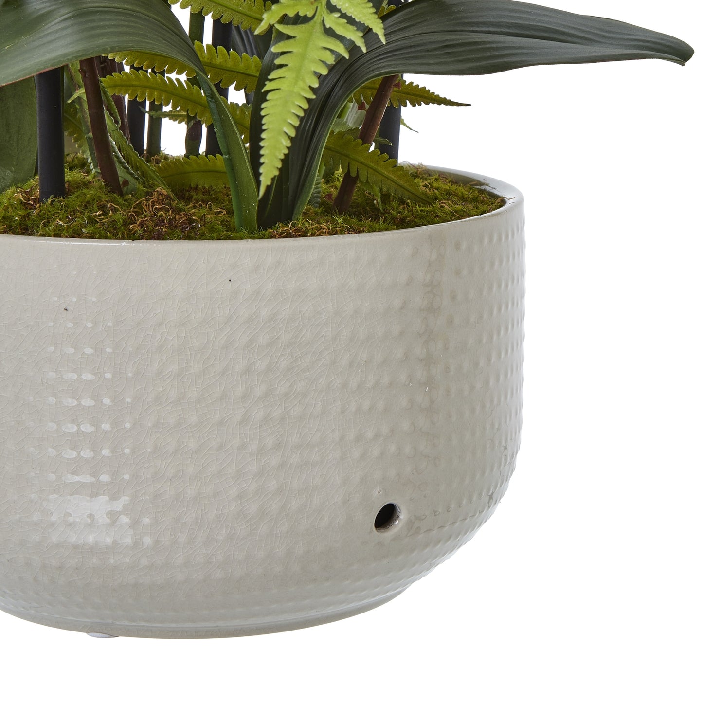 Large White Orchid in Ceramic Pot