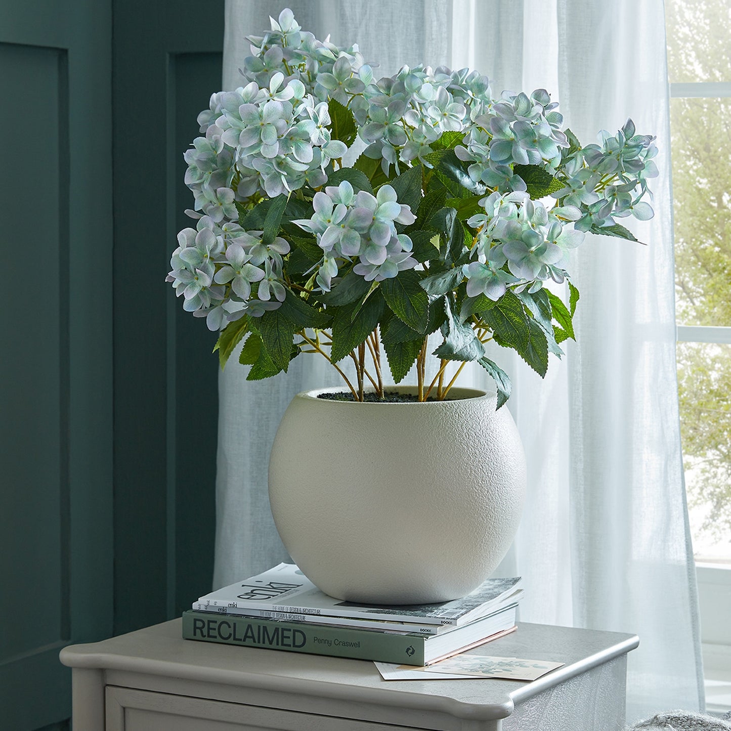 Green Hellebore Plant In Taupe Pot
