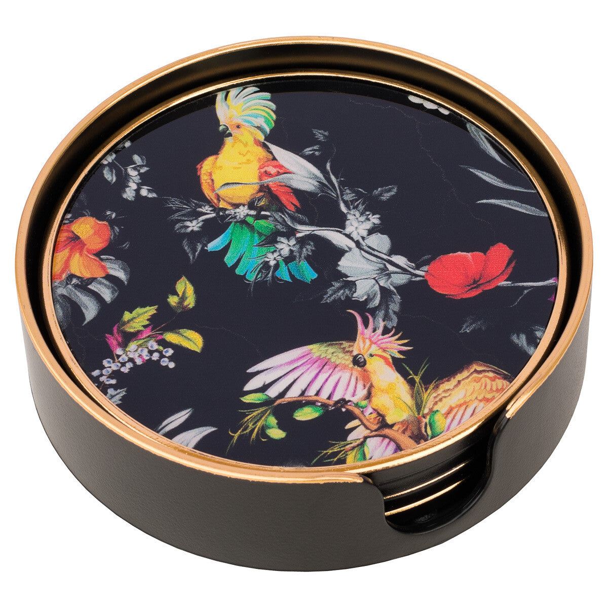 Coasters Glass Round Parrot Design (Black/Multi) - Set of 4