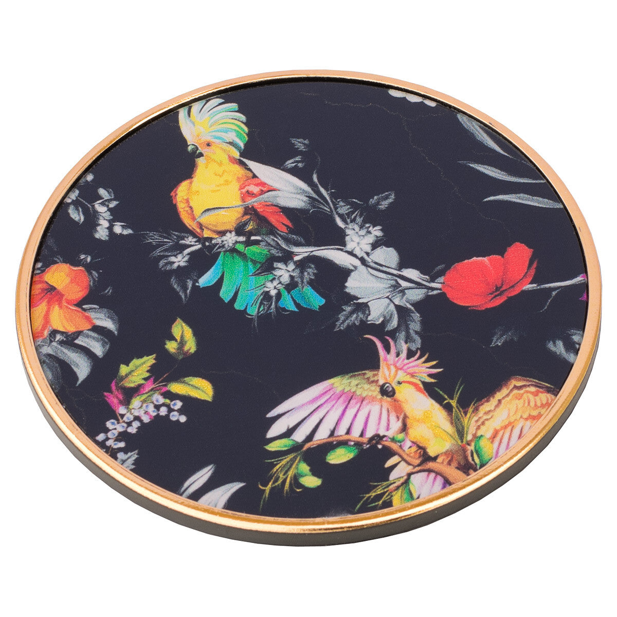 Coasters Glass Round Parrot Design (Black/Multi) - Set of 4