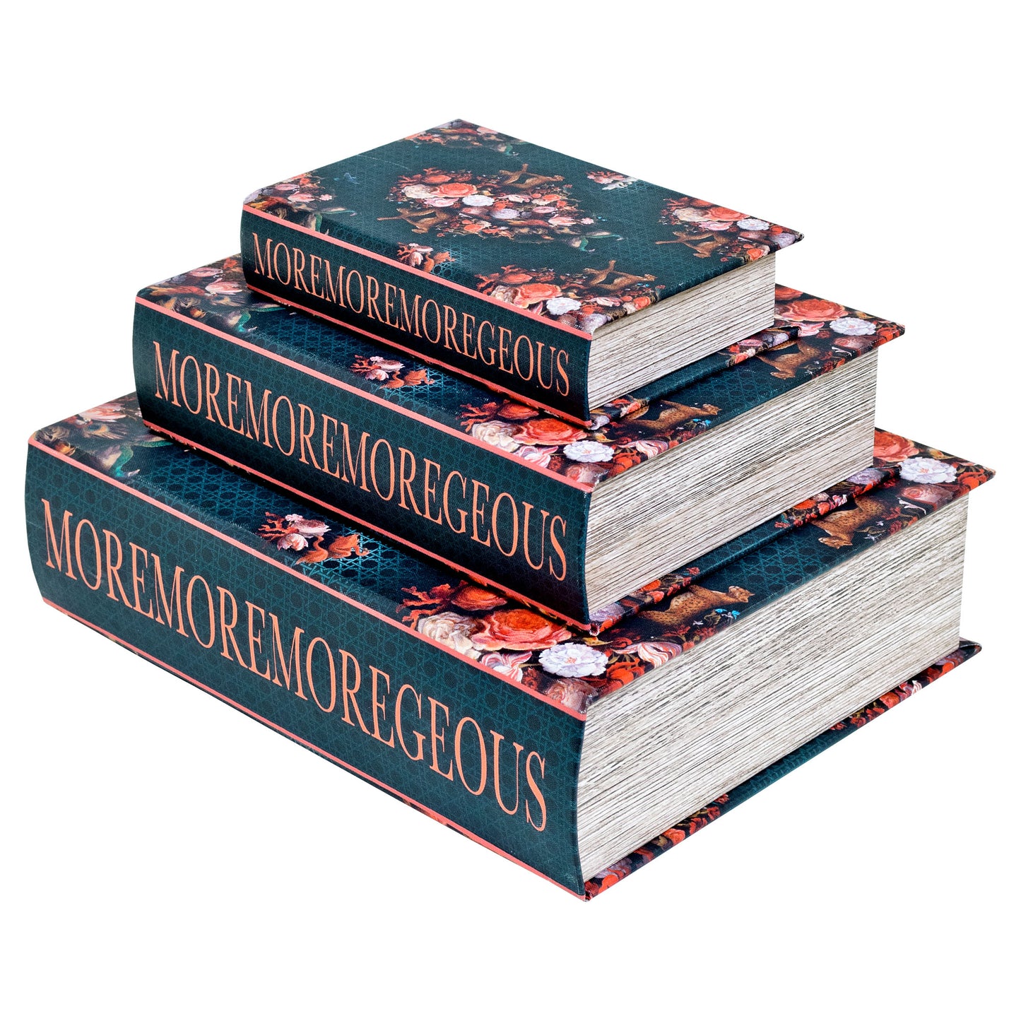 Moremoremoregeous Secret Book Box