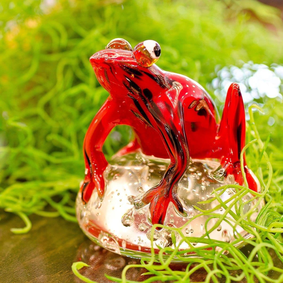 Glass Jungle Red Frog